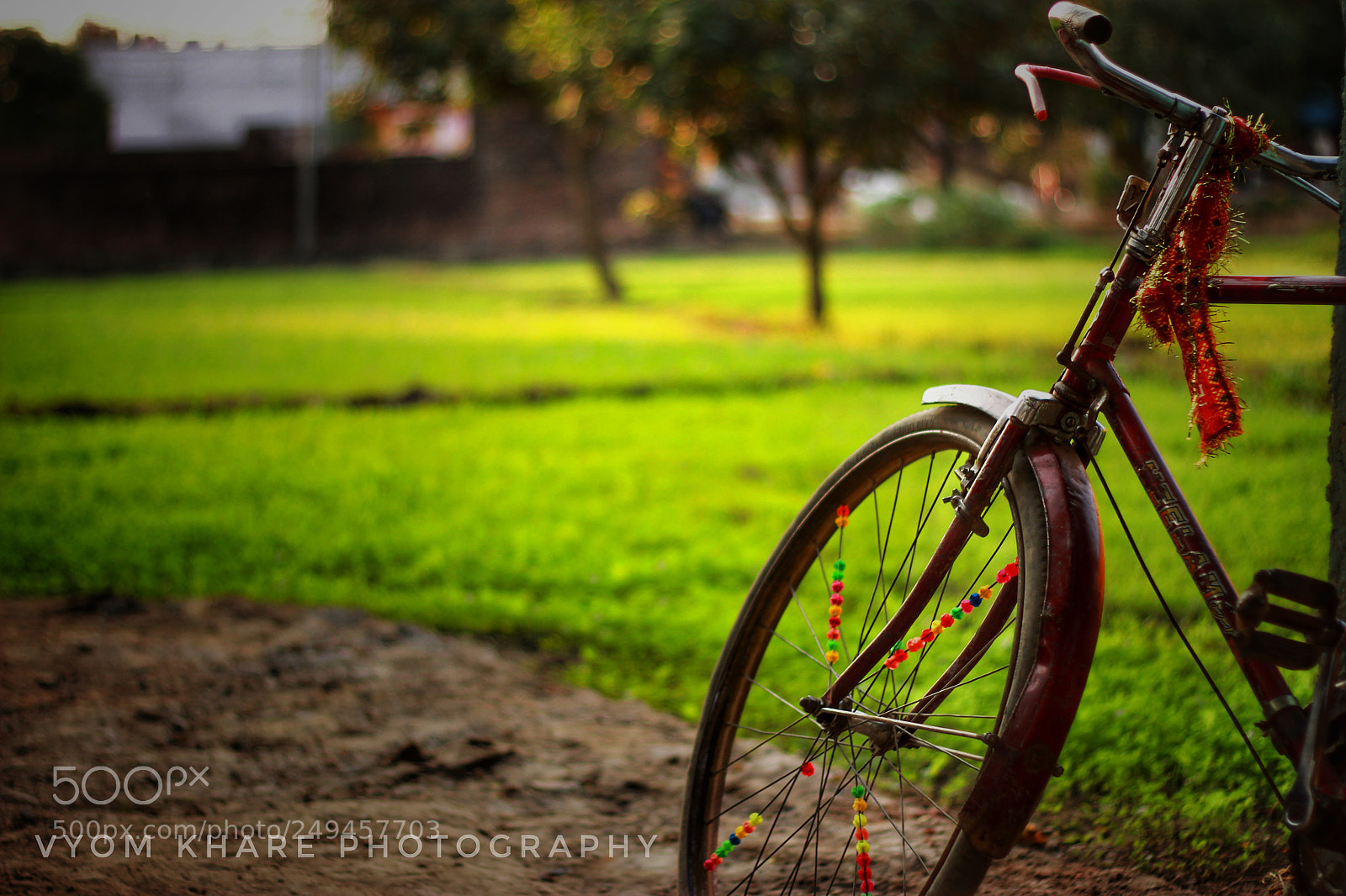Canon EOS 600D (Rebel EOS T3i / EOS Kiss X5) sample photo. Bicycle photography
