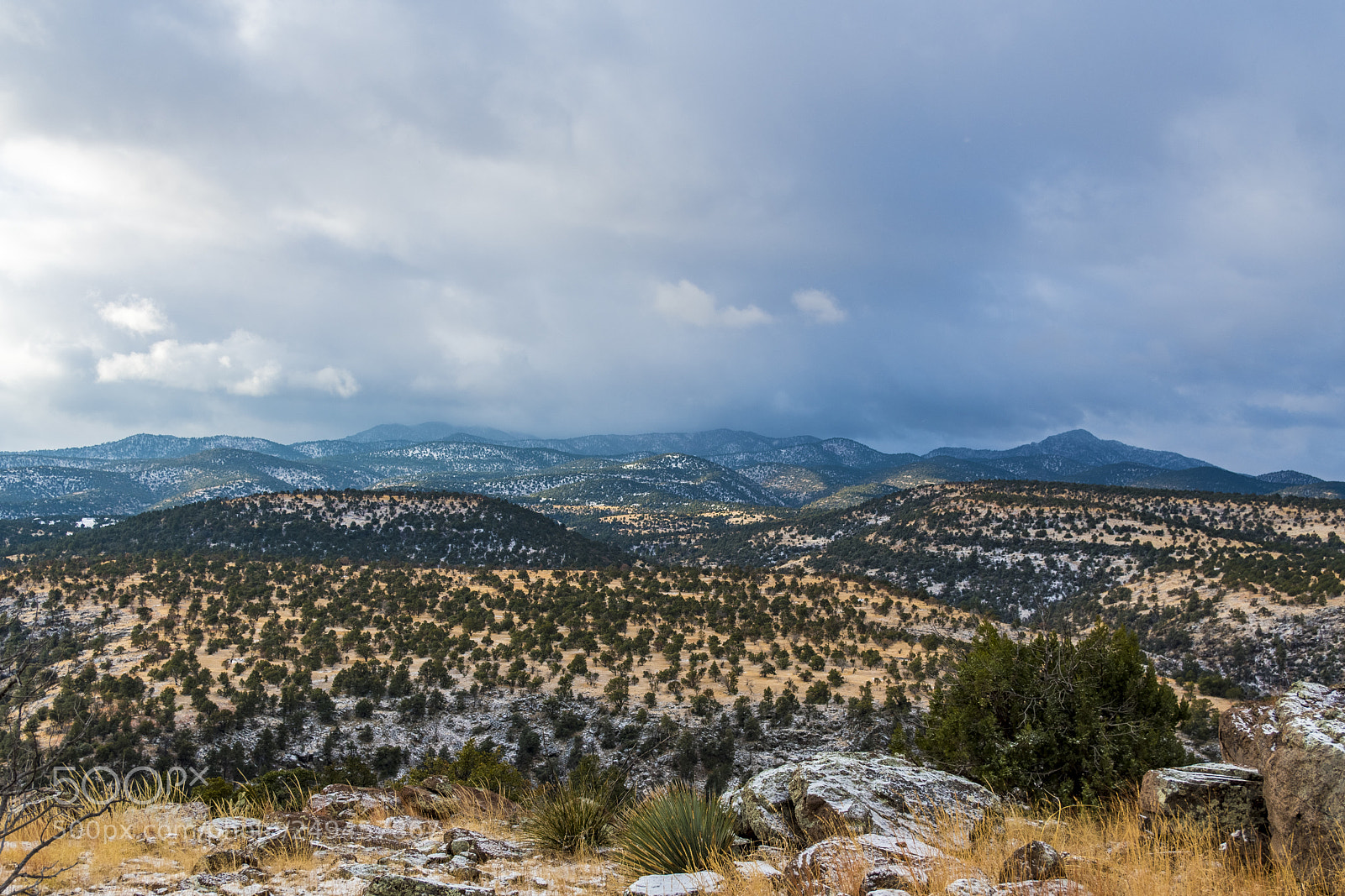 Nikon D500 sample photo. The blues photography