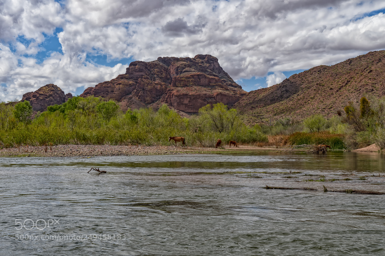 Nikon D500 sample photo. Red mountain photography