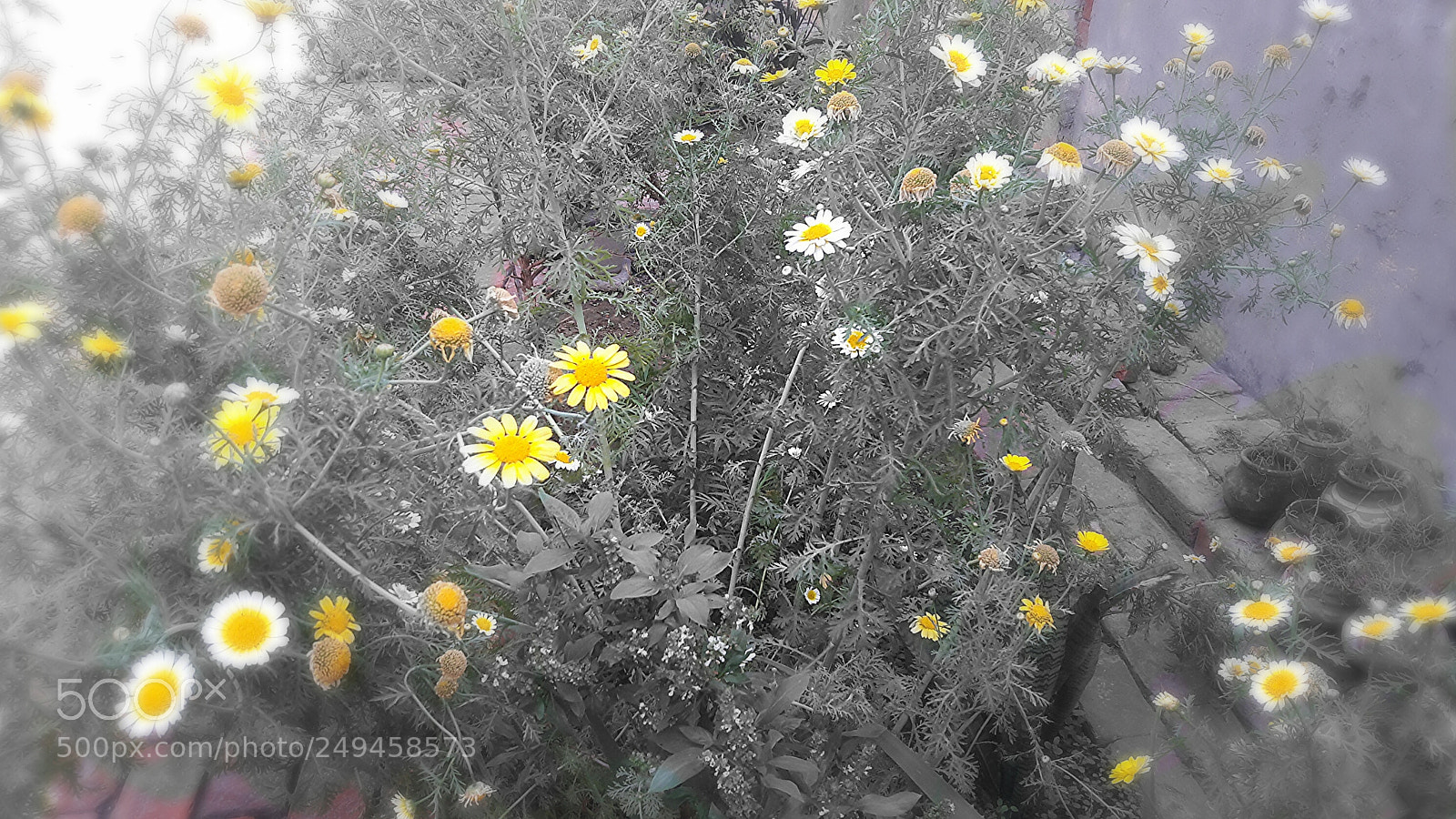 Samsung Galaxy J7 sample photo. Untitled photography
