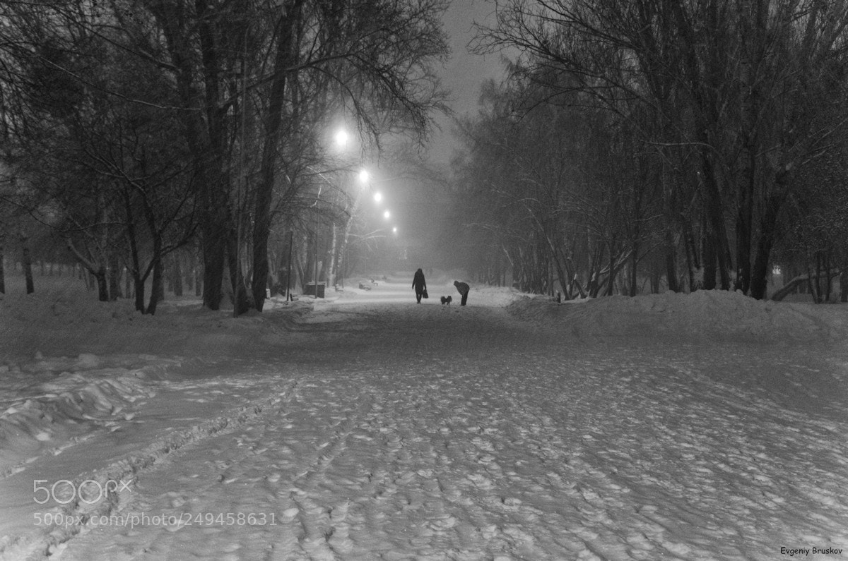 Nikon D7000 sample photo. Вечерняя прогулка photography