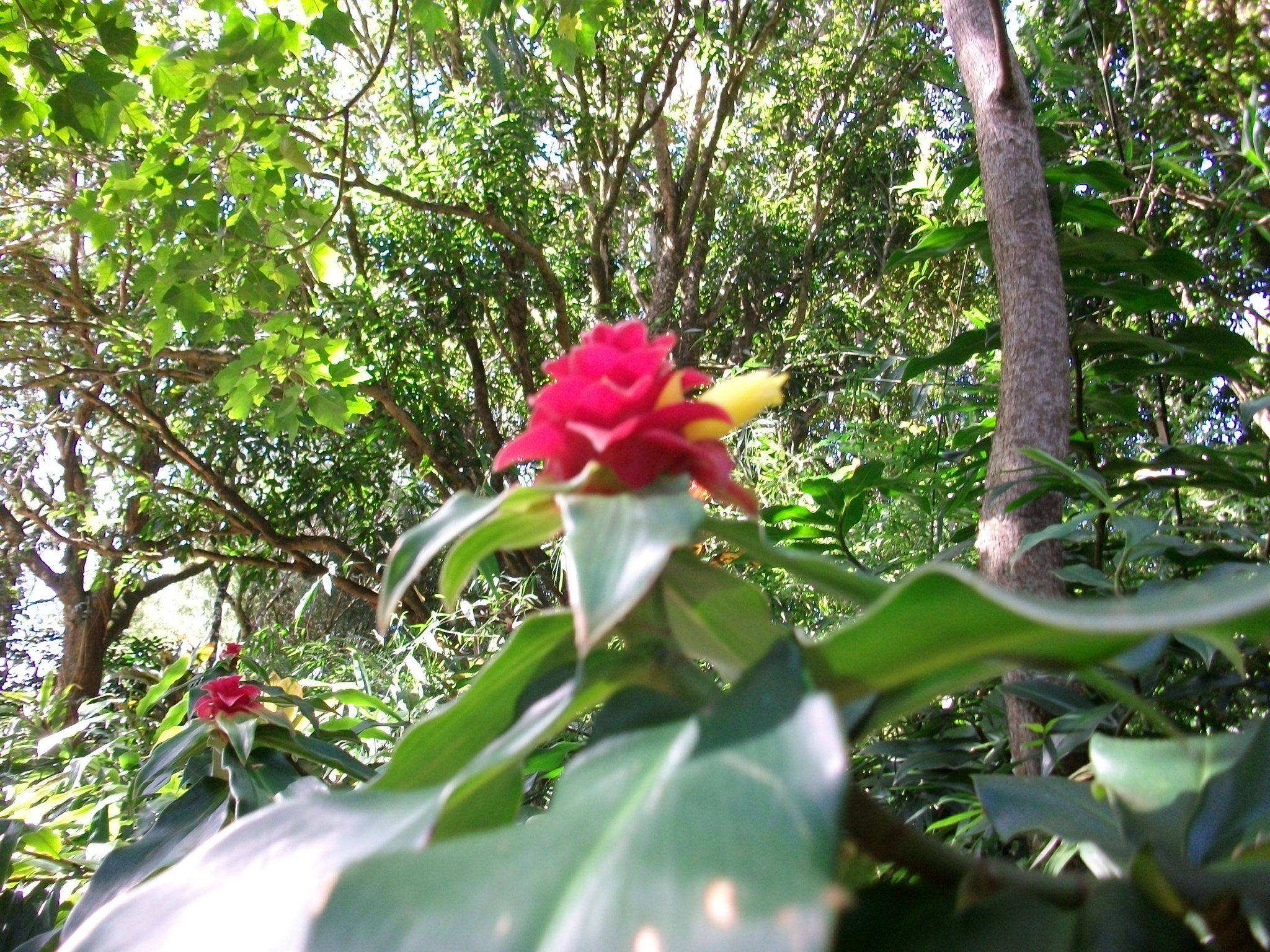 SANYO S1275 sample photo. Sanyo digital camera photography