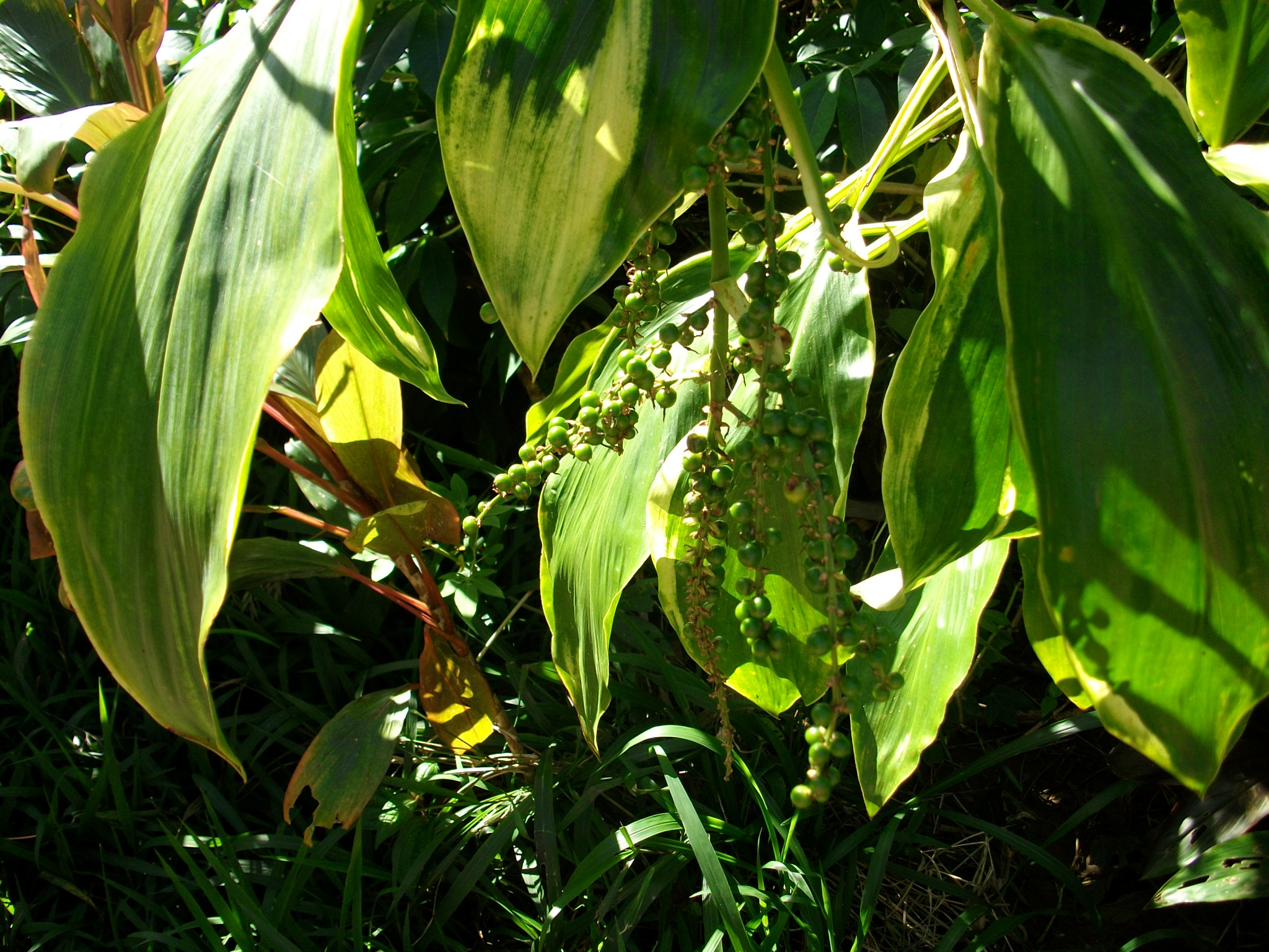 SANYO S1275 sample photo. Sanyo digital camera photography