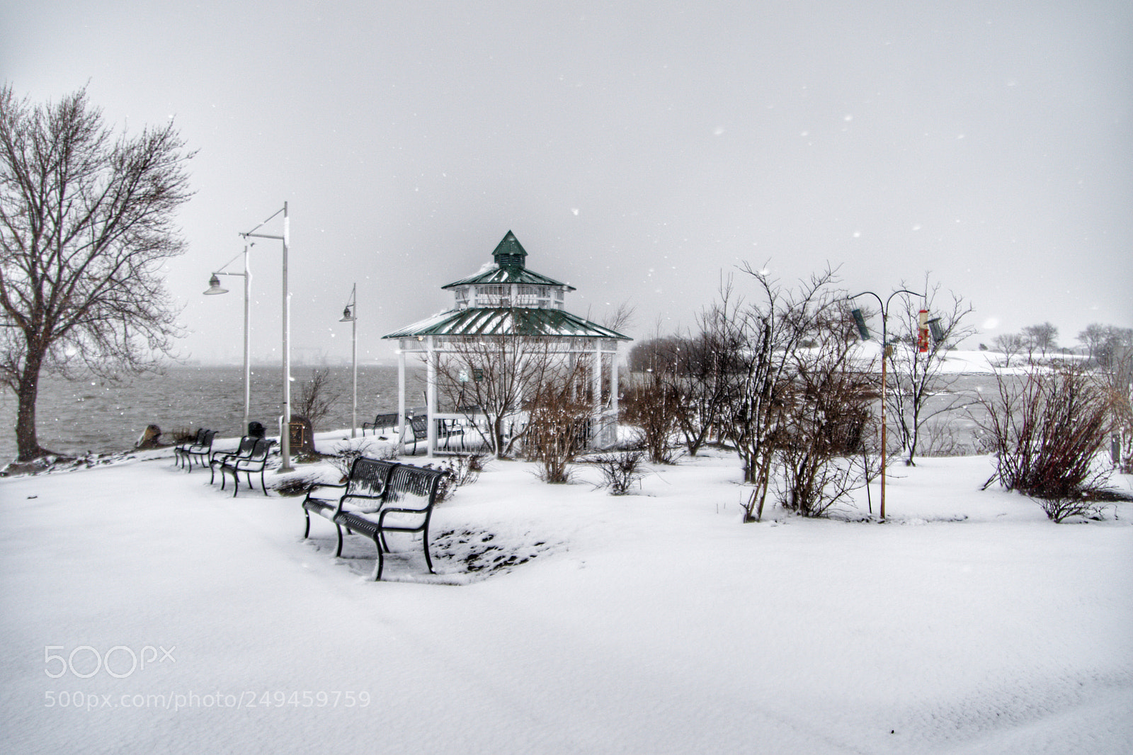 Canon EOS 7D Mark II sample photo. Snow fall photography