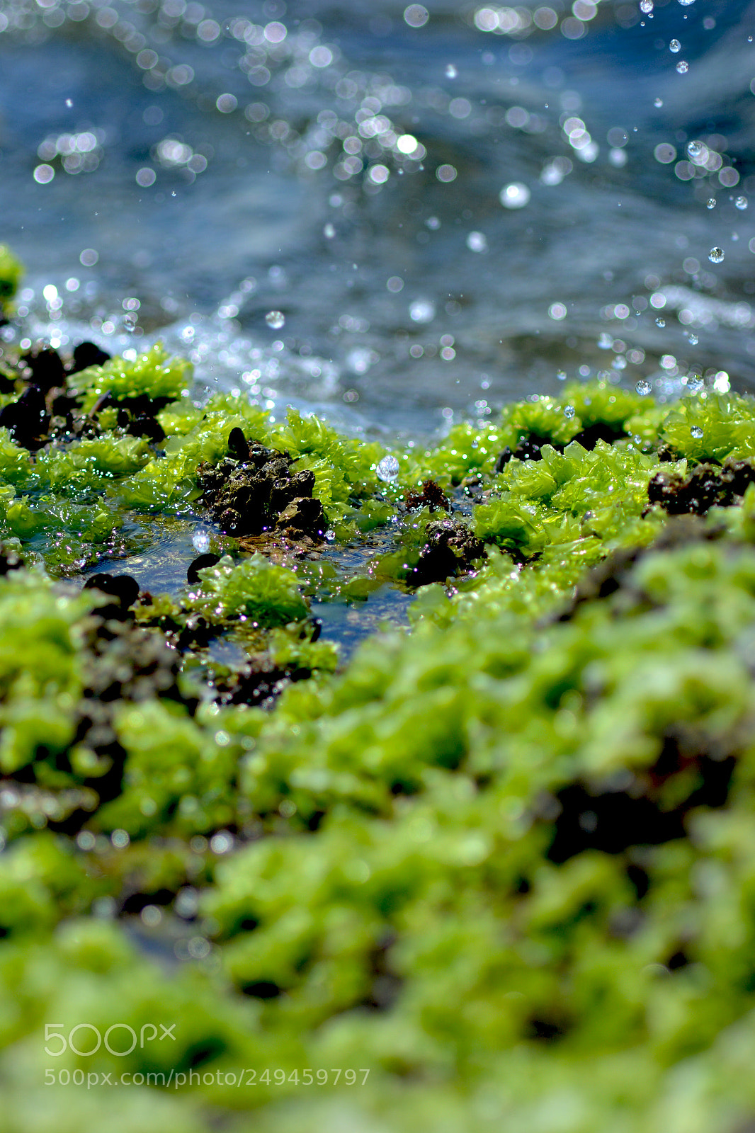 Nikon D7100 sample photo. Life in the edge photography
