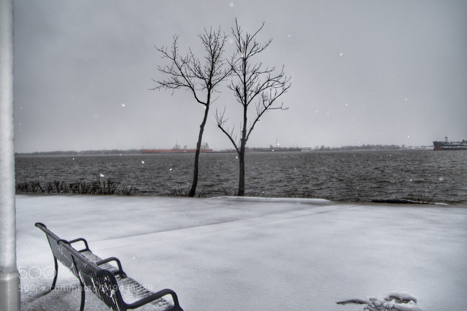 Canon EOS 7D Mark II sample photo. Untitled photography
