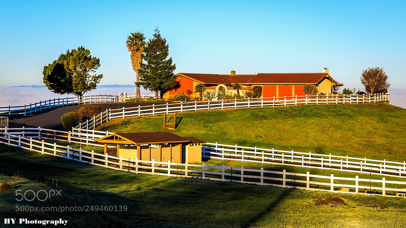 Canon EOS 6D Mark II sample photo. Resizef resize photography