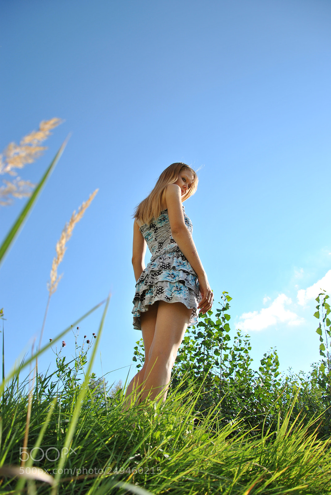 Nikon D3000 sample photo. * photography