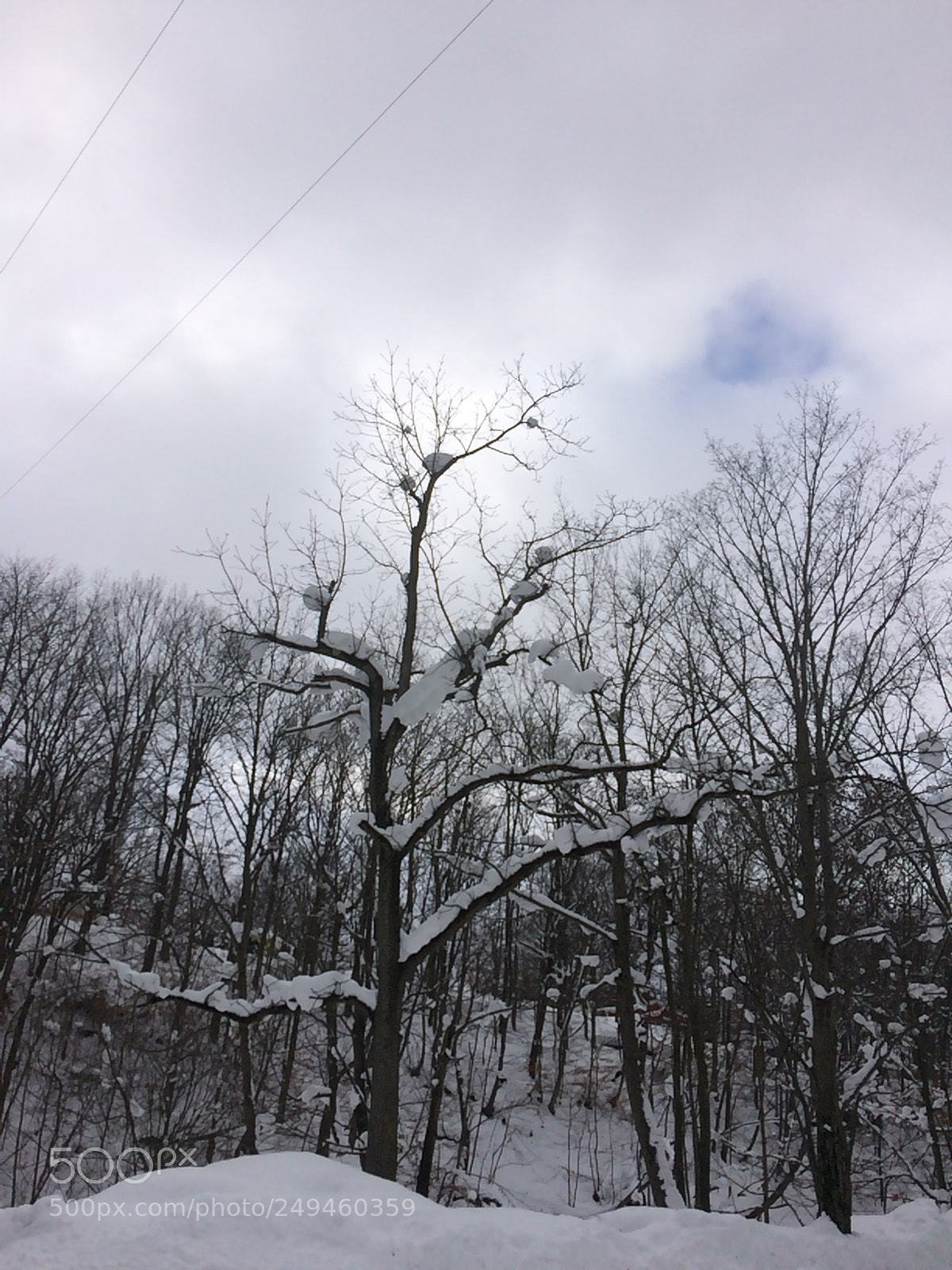 Apple iPhone 5s sample photo. Looking to the sky photography