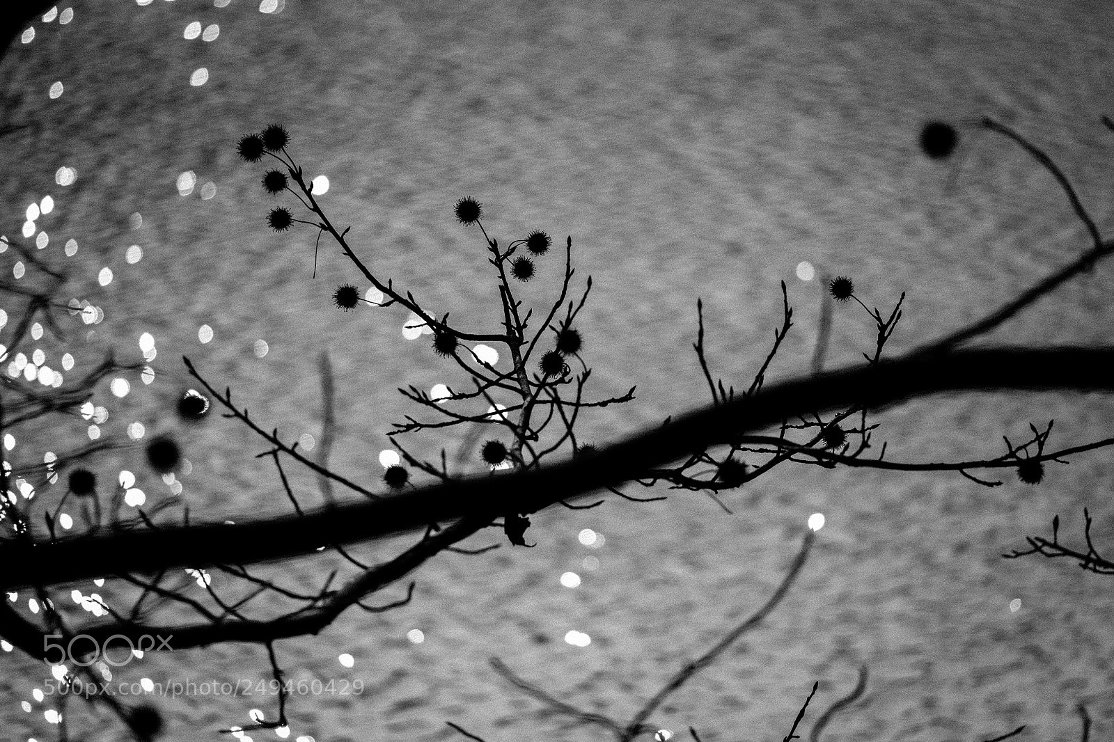 Fujifilm X-T1 sample photo. Wood place in hangzhou photography