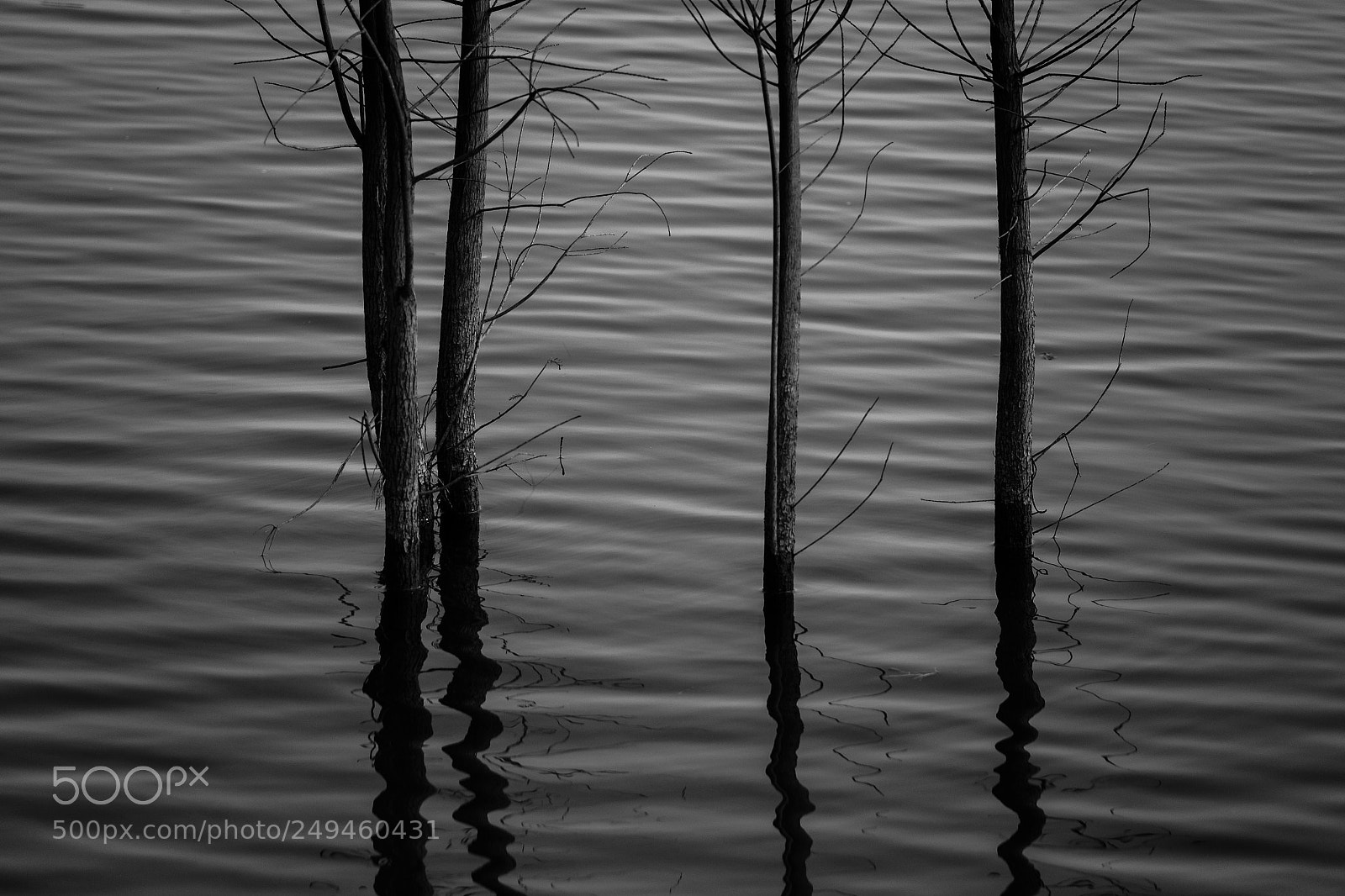Fujifilm X-T1 sample photo. Wood place in hangzhou photography