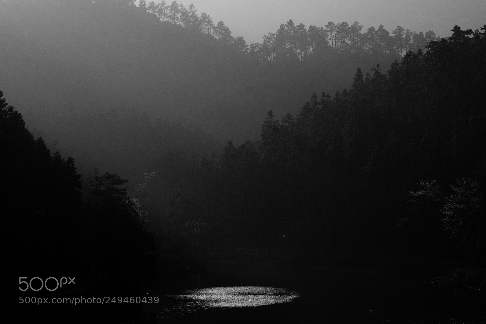 Fujifilm X-T1 sample photo. Wood place in hangzhou photography