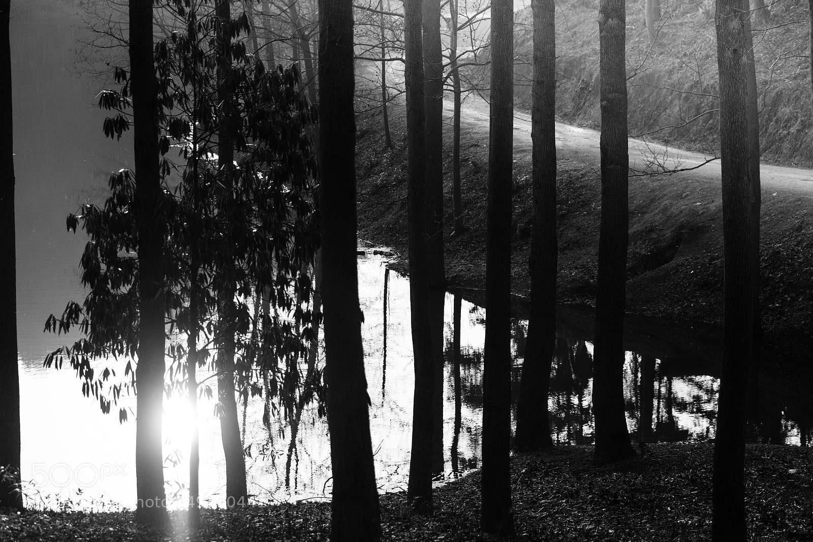 Fujifilm X-T1 sample photo. Wood place in hangzhou photography