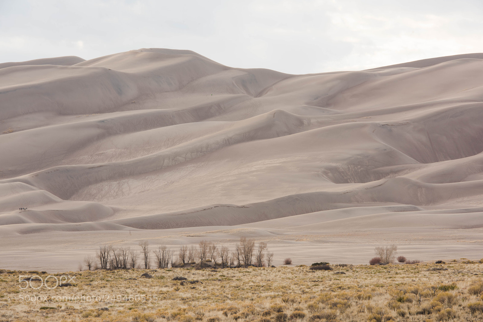 Nikon D810 sample photo. Greatsanddunes photography