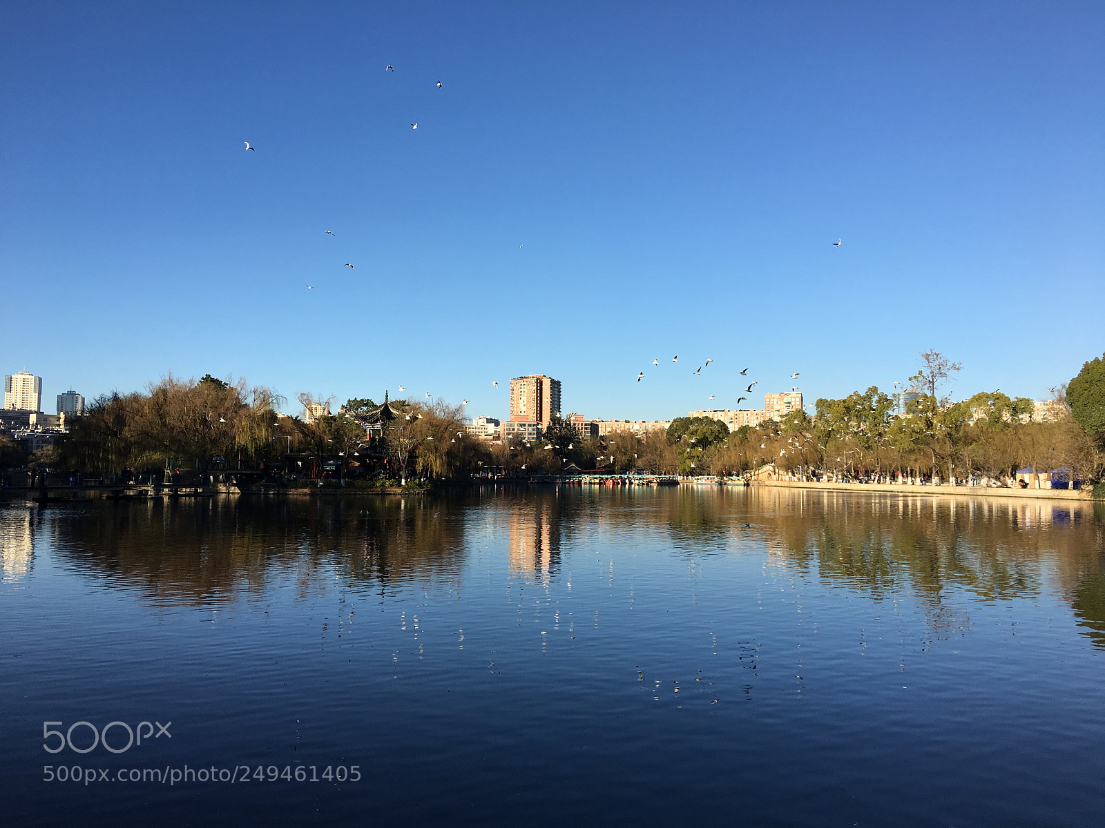Apple iPhone 6s Plus sample photo. 昆明 photography