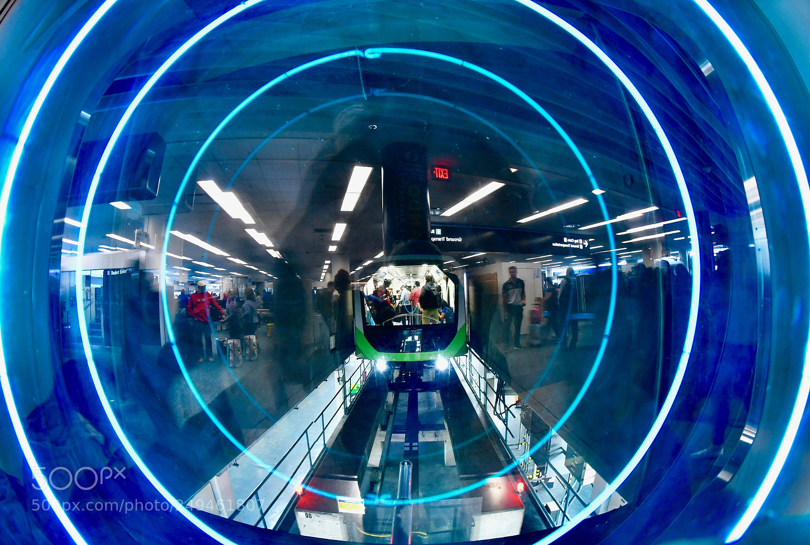 Nikon D500 sample photo. Through the looking glass photography