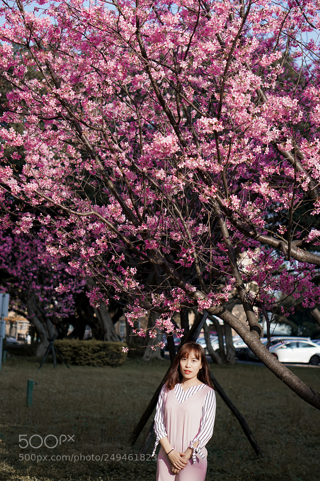 Sony a6000 sample photo. Dsc photography