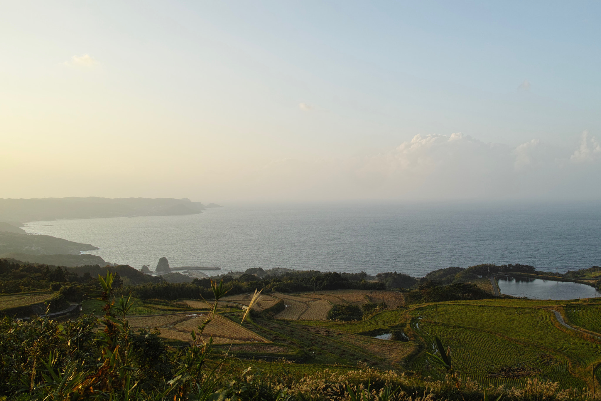 Sigma DP1 Merrill sample photo. Rice field photography