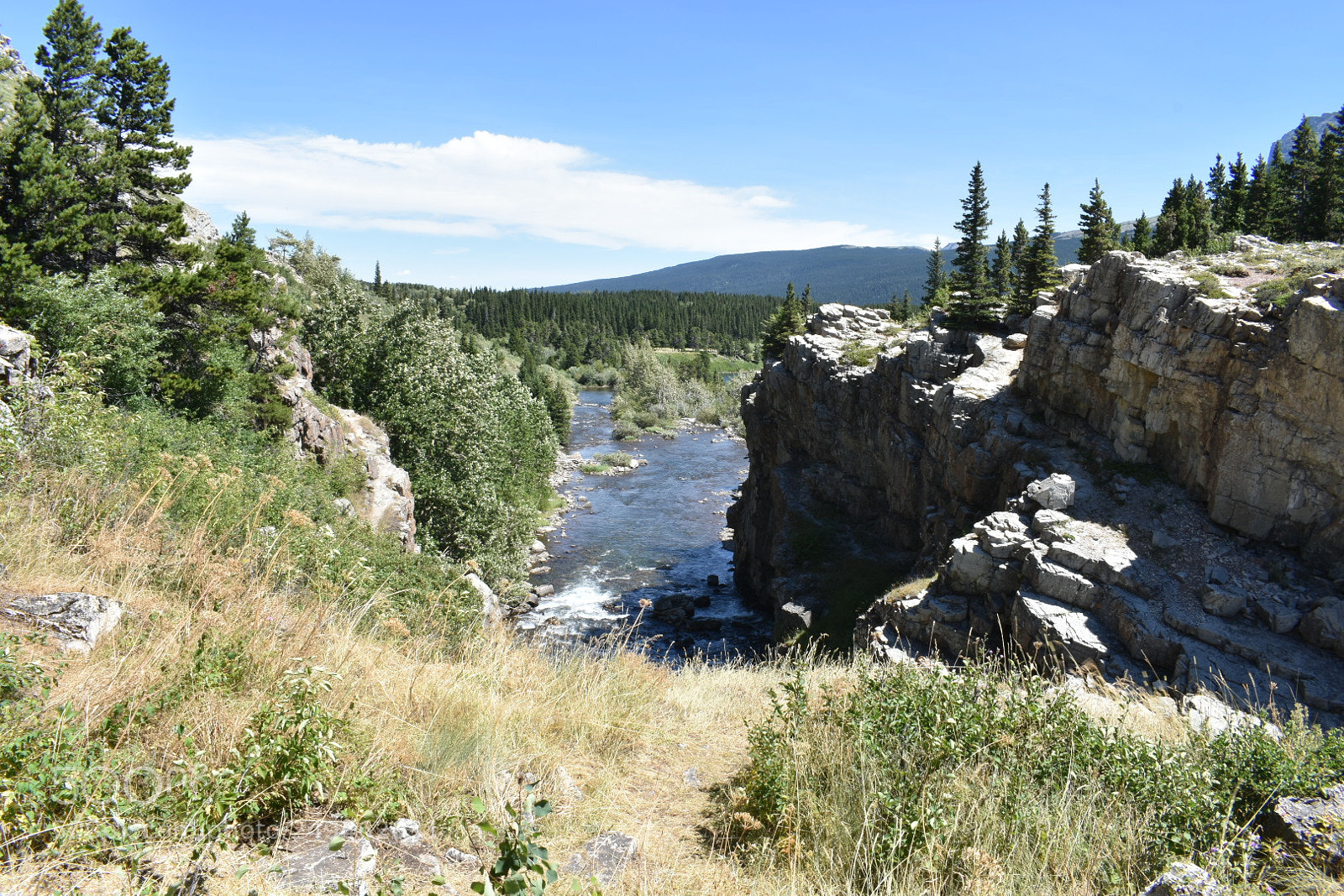 Nikon D3400 sample photo. Many glacier. glacier national photography