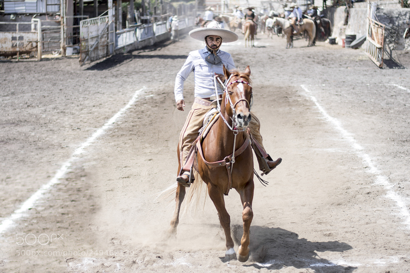 Nikon D7200 sample photo. Charrería photography