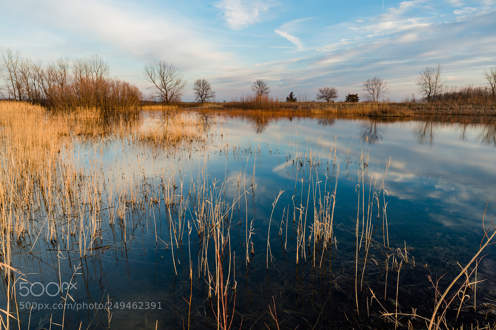 Nikon Df sample photo. Untitled photography