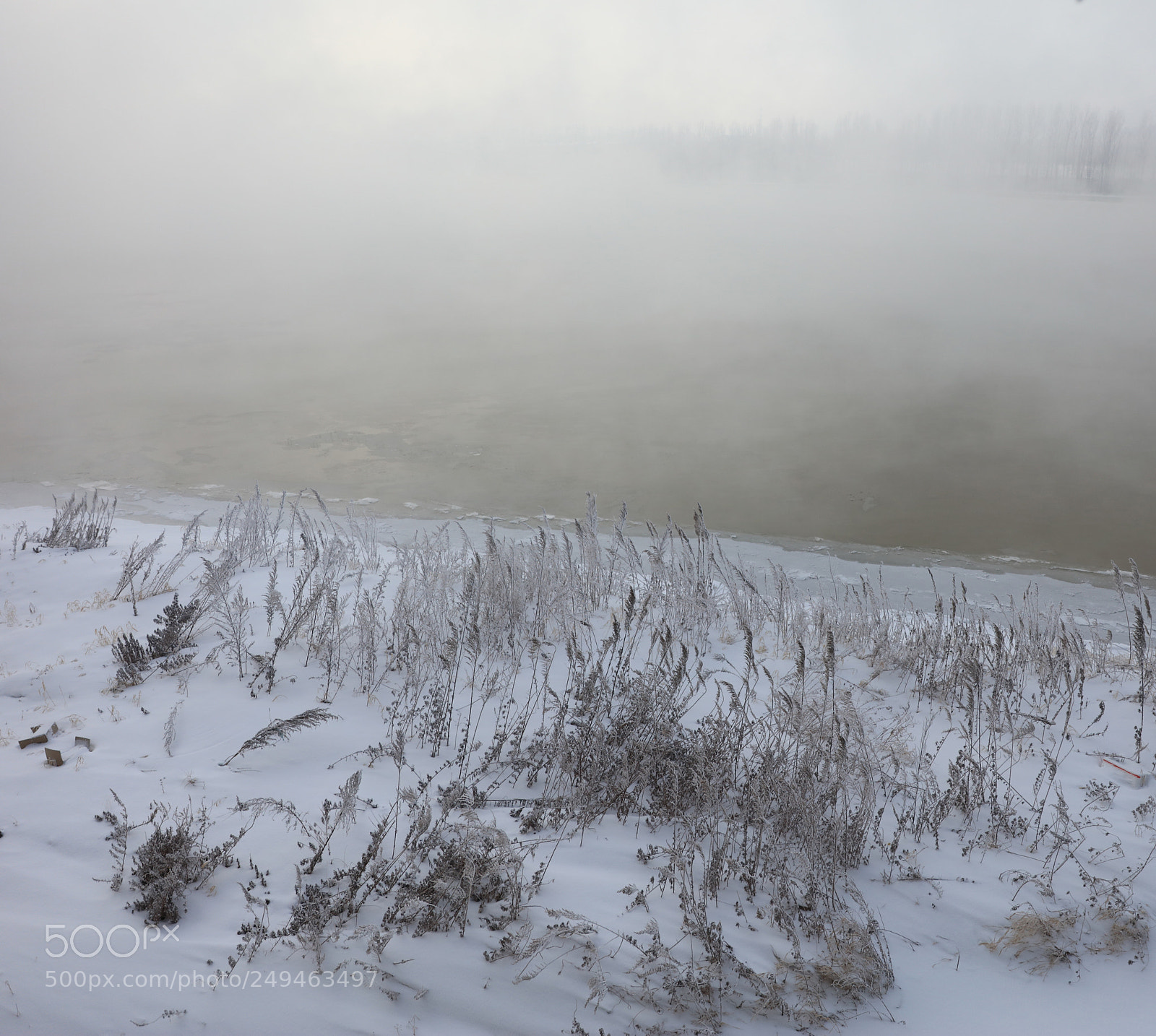Canon EOS 5DS R sample photo. Hanjiangxue photography