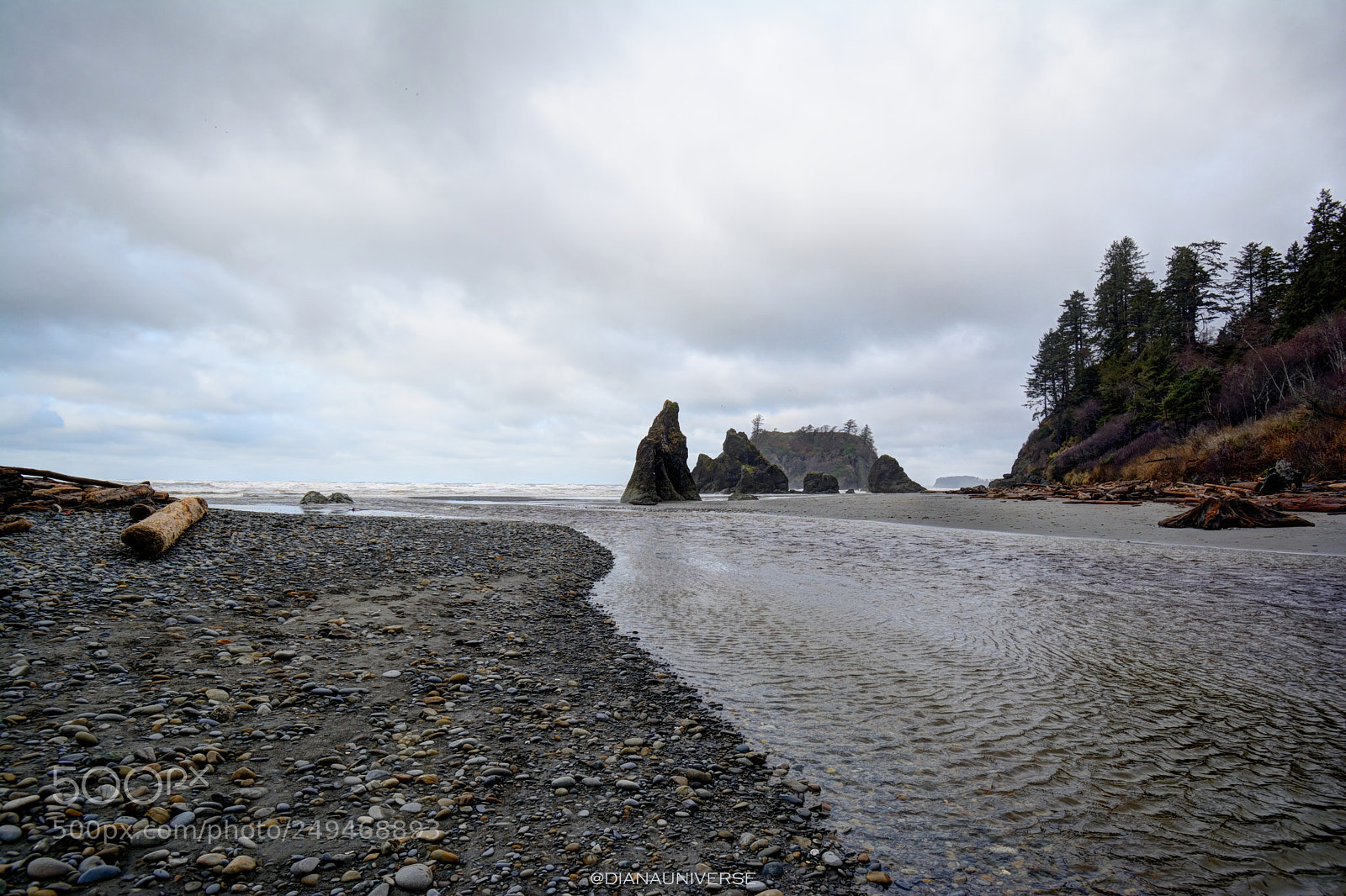 Nikon D7100 sample photo. Taking chances photography