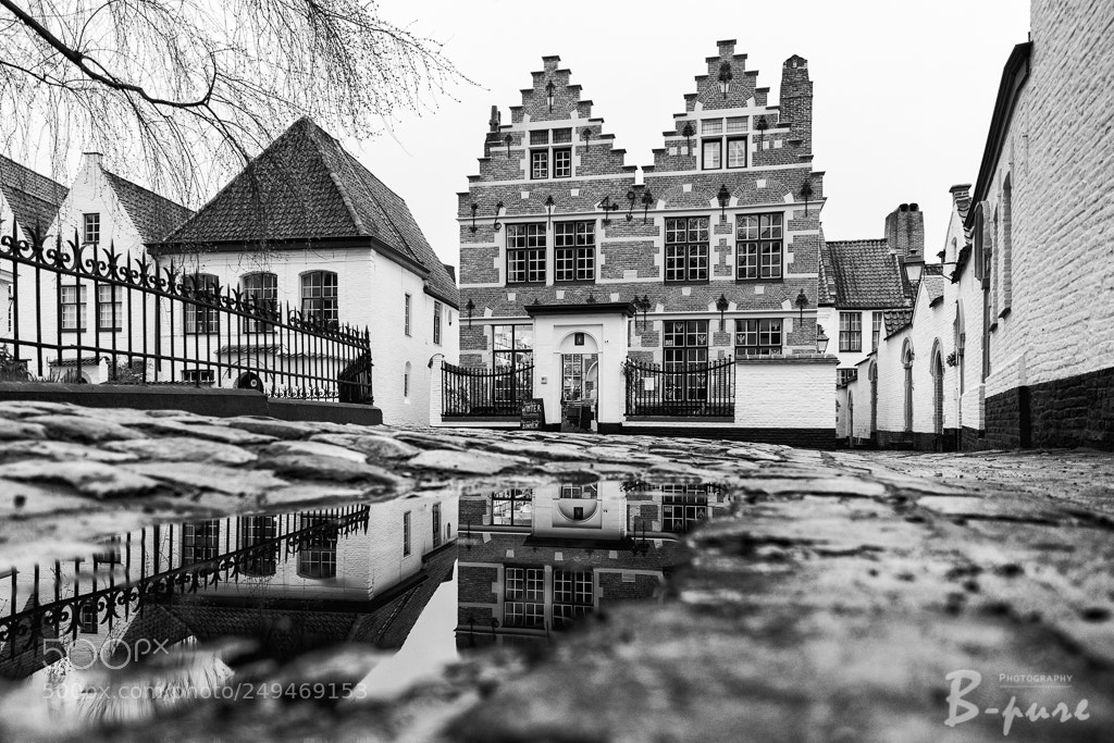 Nikon D500 sample photo. Kortrijk - frog perspective photography