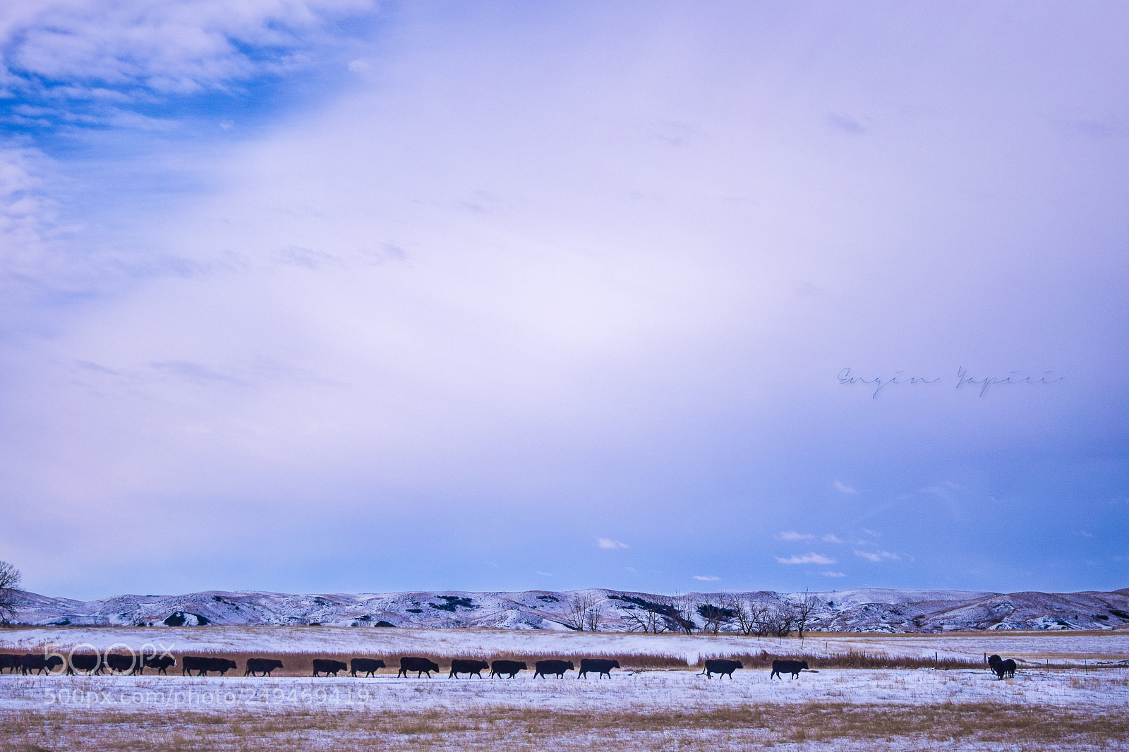 Nikon D3300 sample photo. Long walk photography