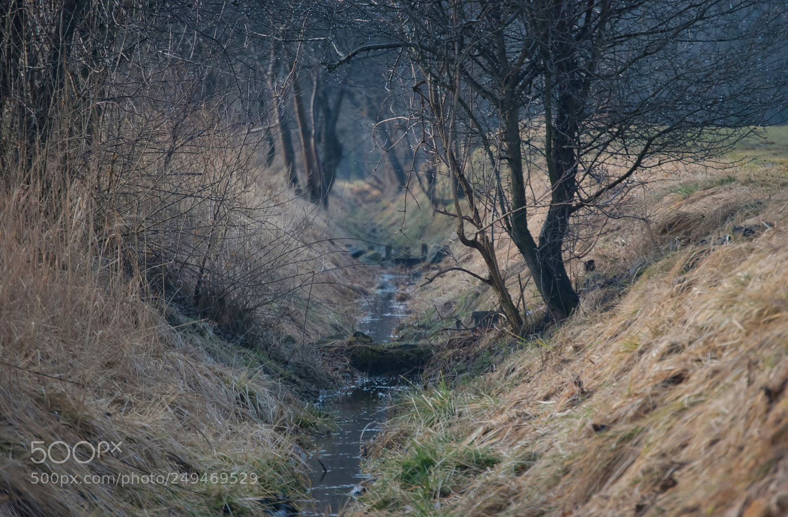 Nikon D60 sample photo. End of winter photography