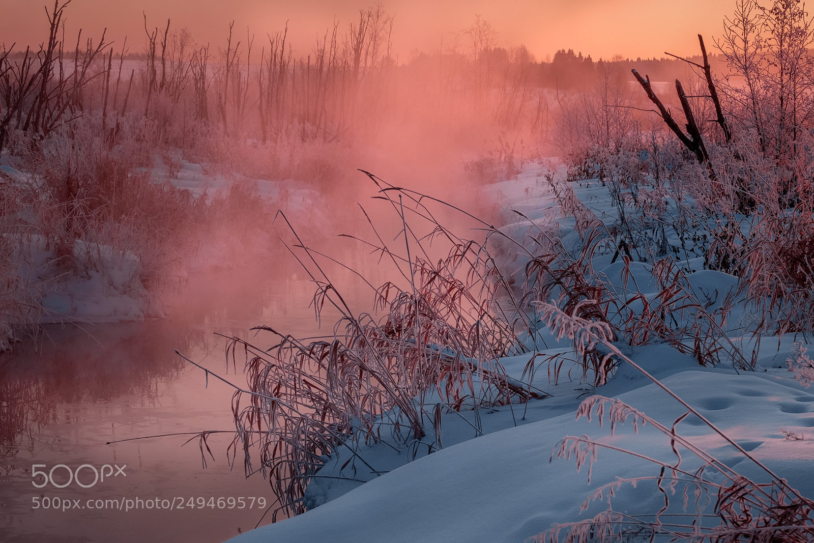 Fujifilm X-T20 sample photo. Rossoshka in the frosty photography