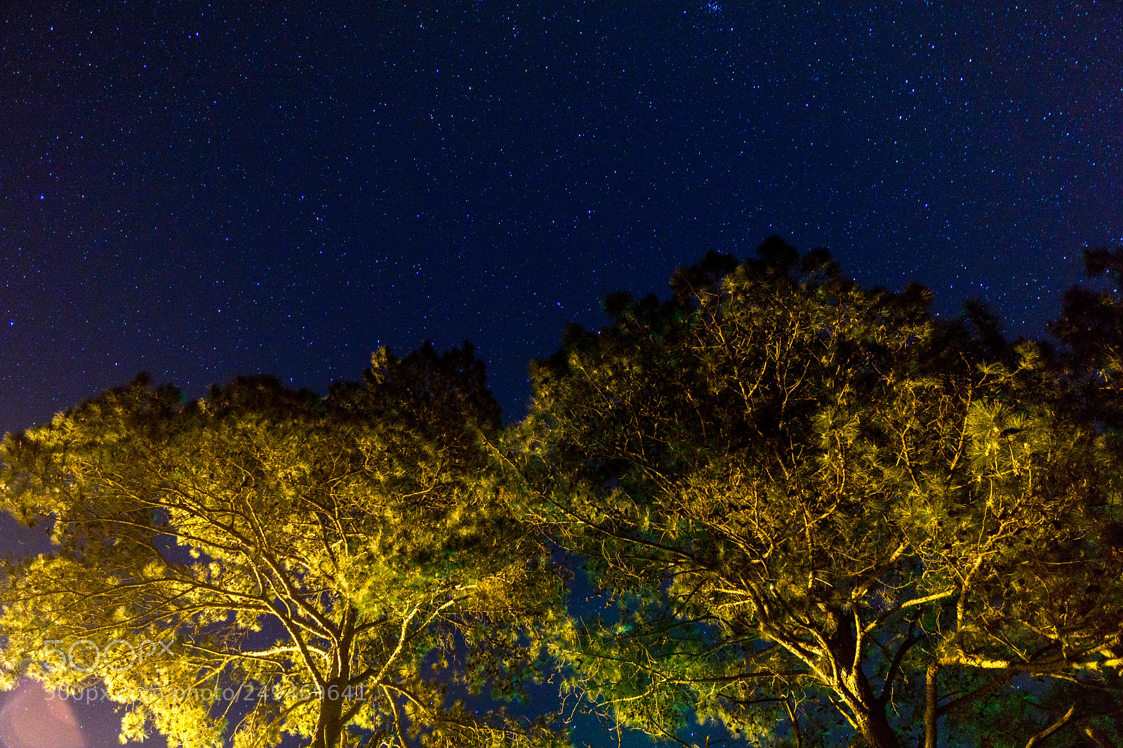 Sony a6000 sample photo. Dsc07209 photography