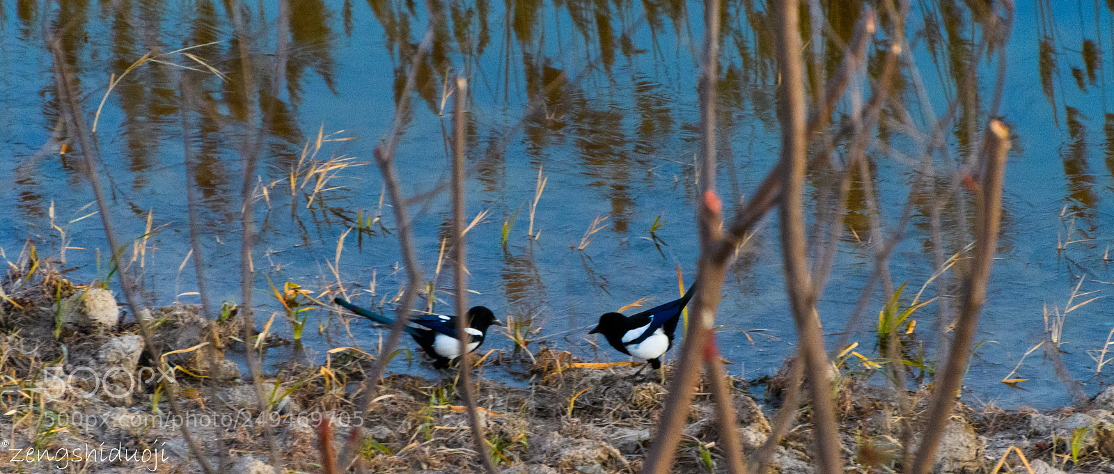 Nikon D500 sample photo. Untitled photography