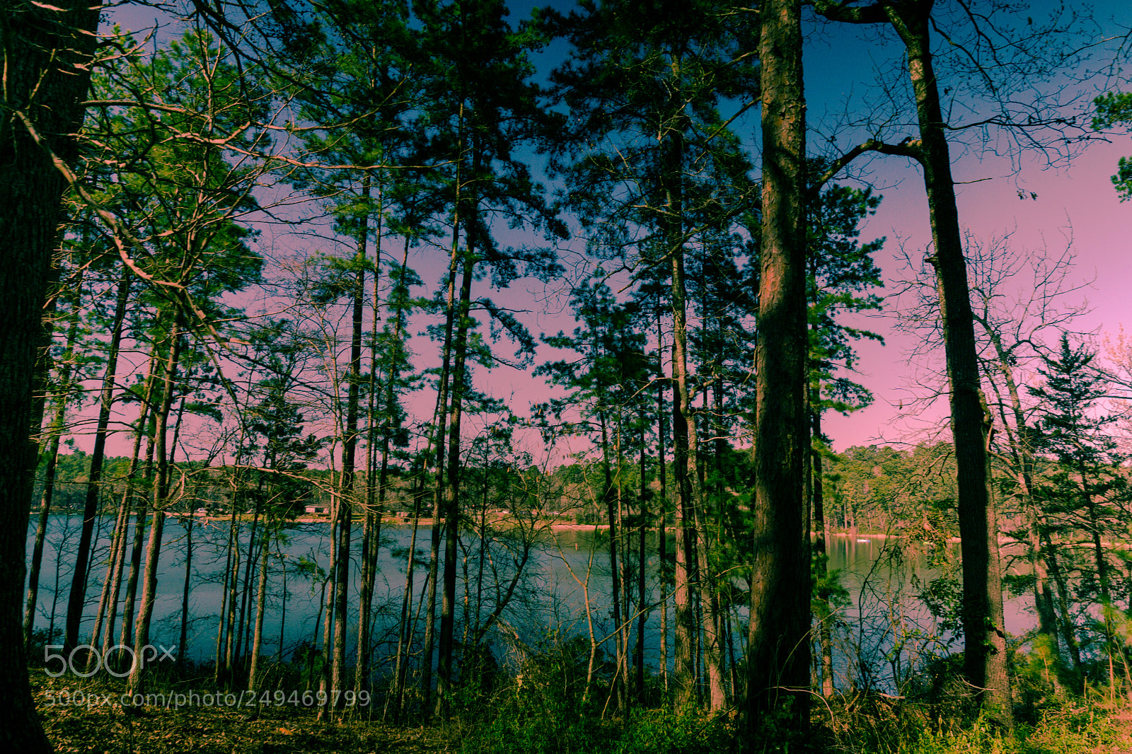 Sony a6000 sample photo. Dsc07180-3.jpg photography