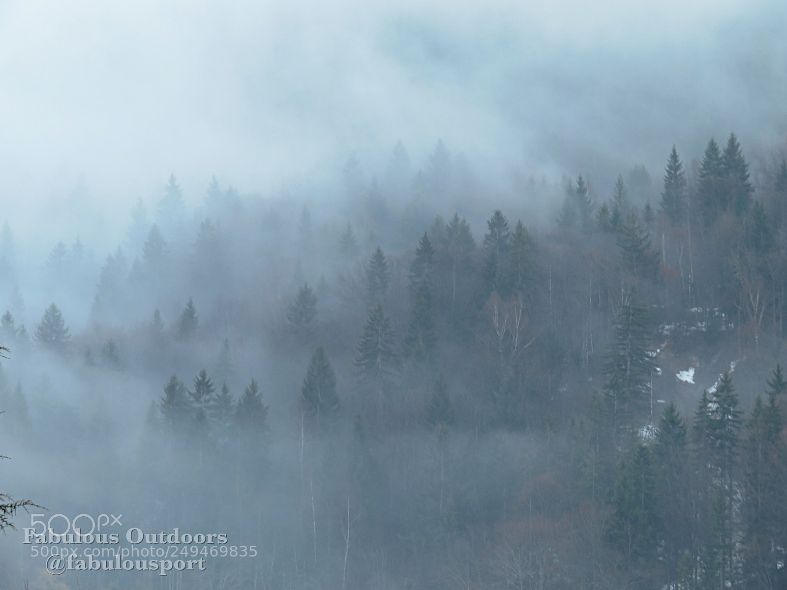 Canon PowerShot SX720 HS sample photo. Misty morning in the photography