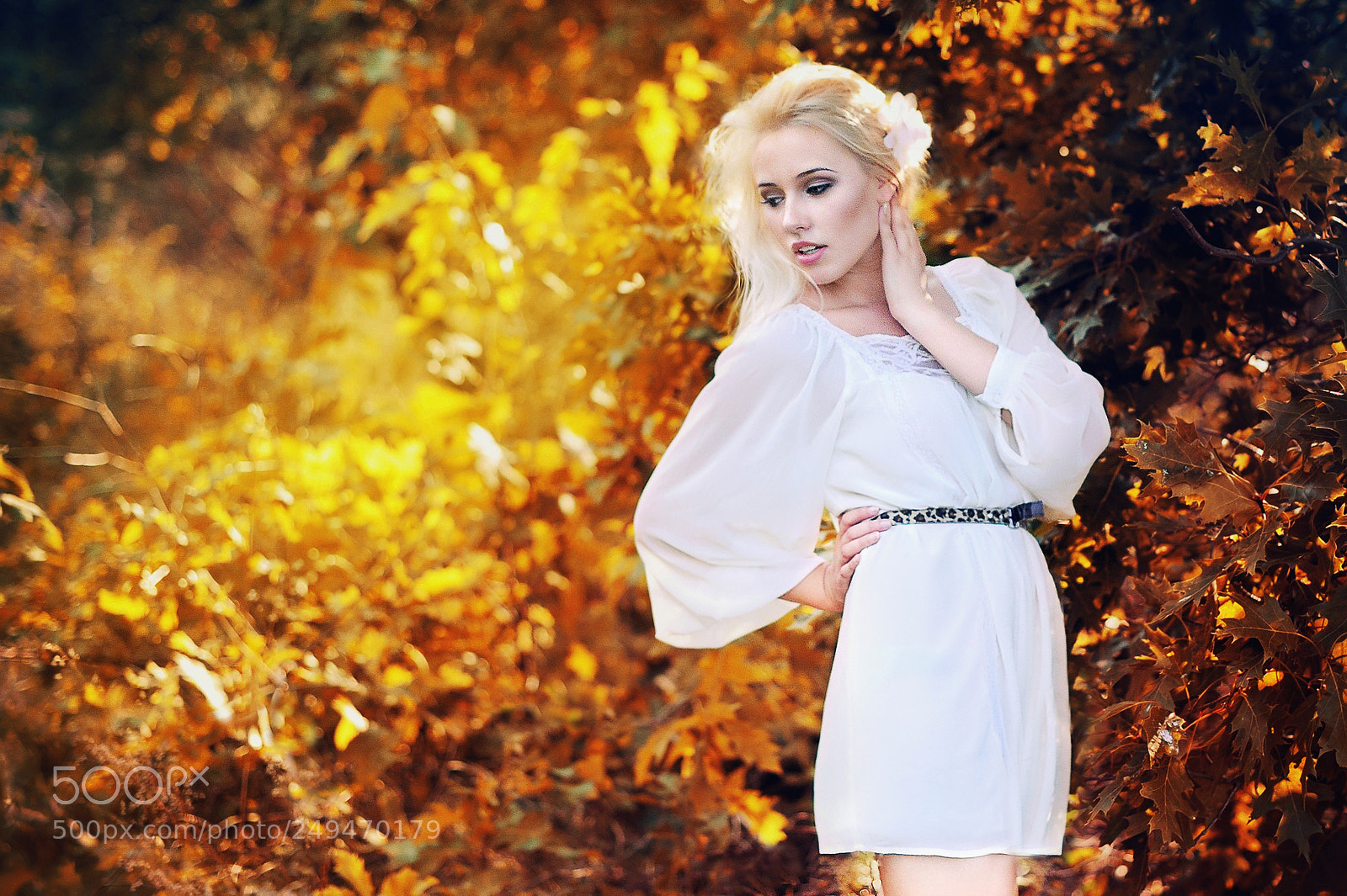 Nikon D700 sample photo. Evening honey photography