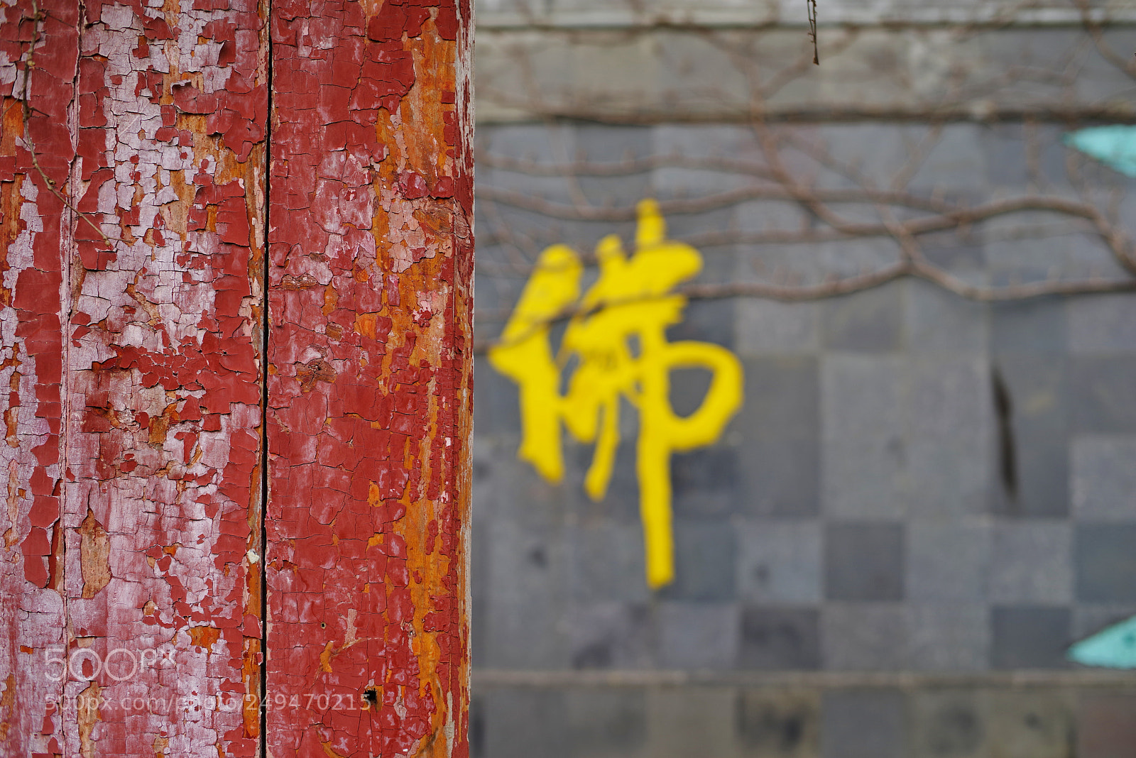 Pentax K-1 sample photo. Untitled photography