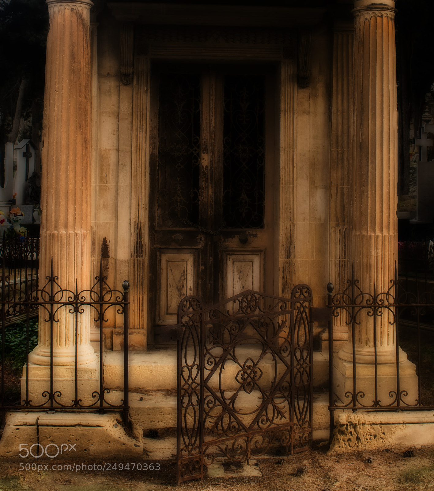 Nikon D3300 sample photo. The gate is open photography