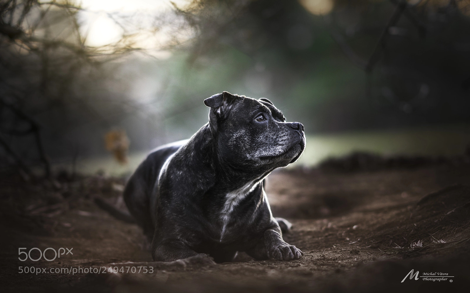 Sony a7R II sample photo. Kimmberly photography