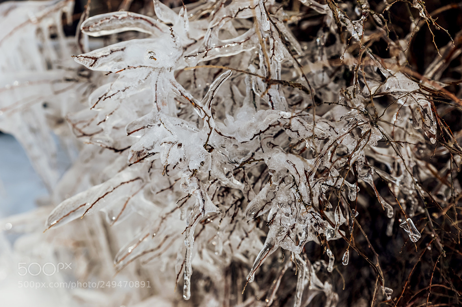 Sony a99 II sample photo. Frozen photography