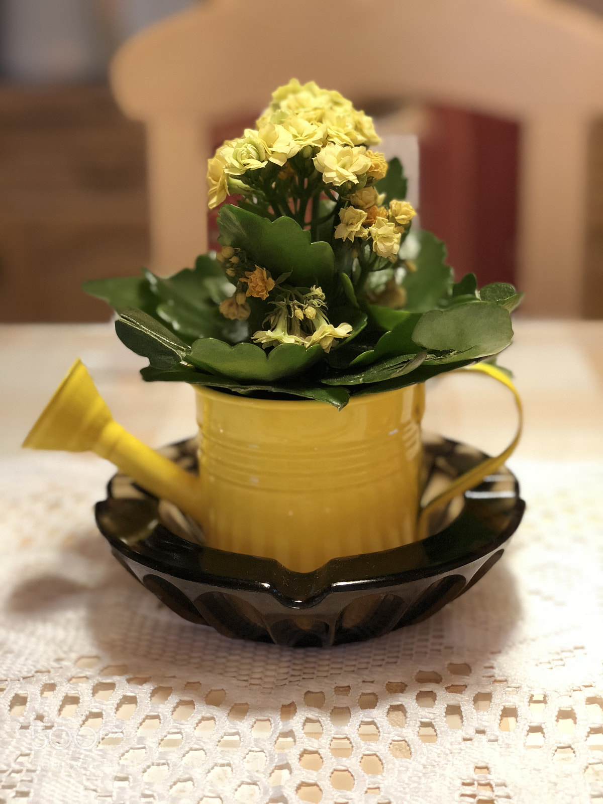 Apple iPhone X sample photo. Springmood... me happy friday photography