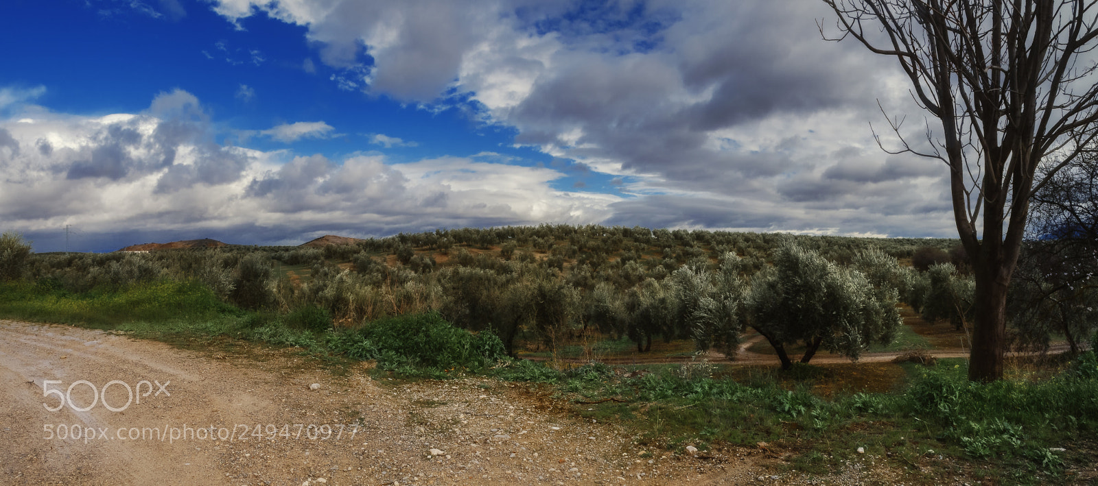 Canon PowerShot G10 sample photo. Mancha real panoramic photography