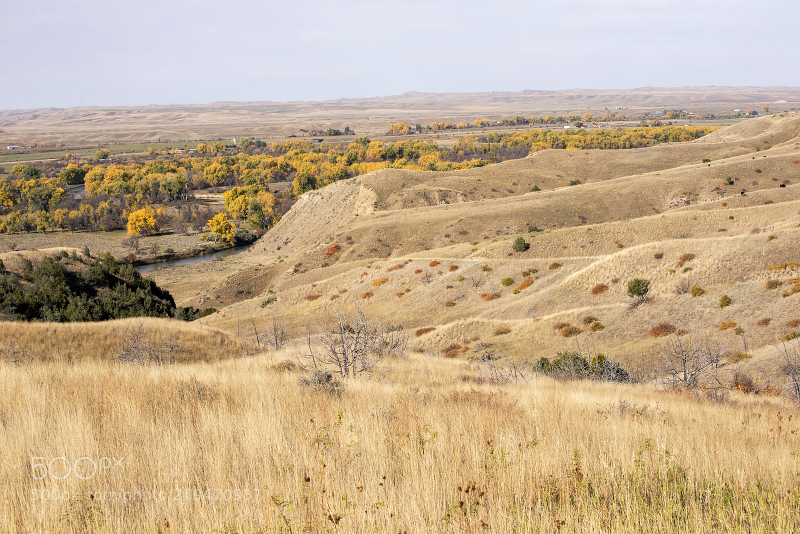 Nikon D600 sample photo. Autumn hills! (1) photography