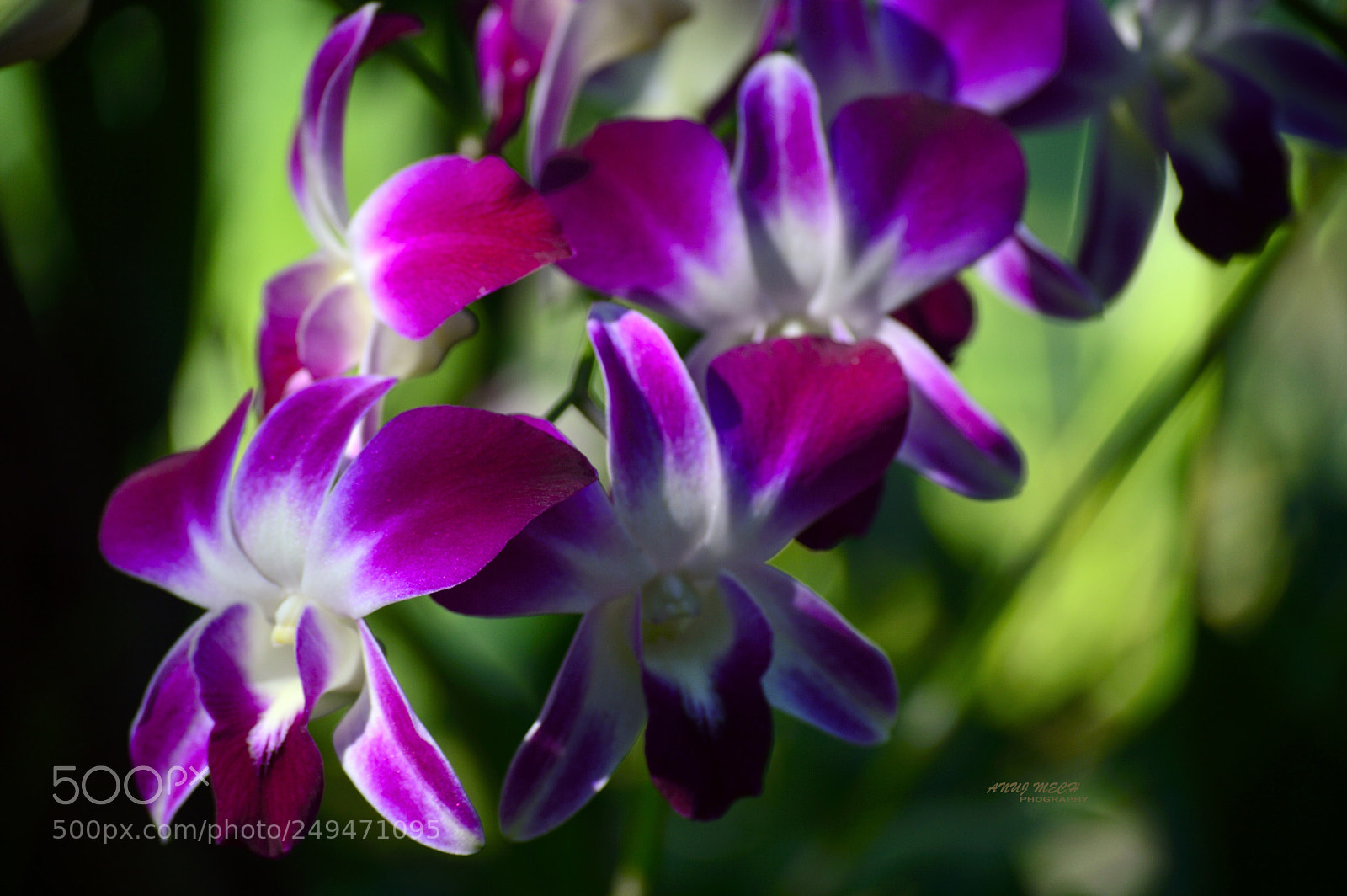 Nikon D3200 sample photo. Untitled photography