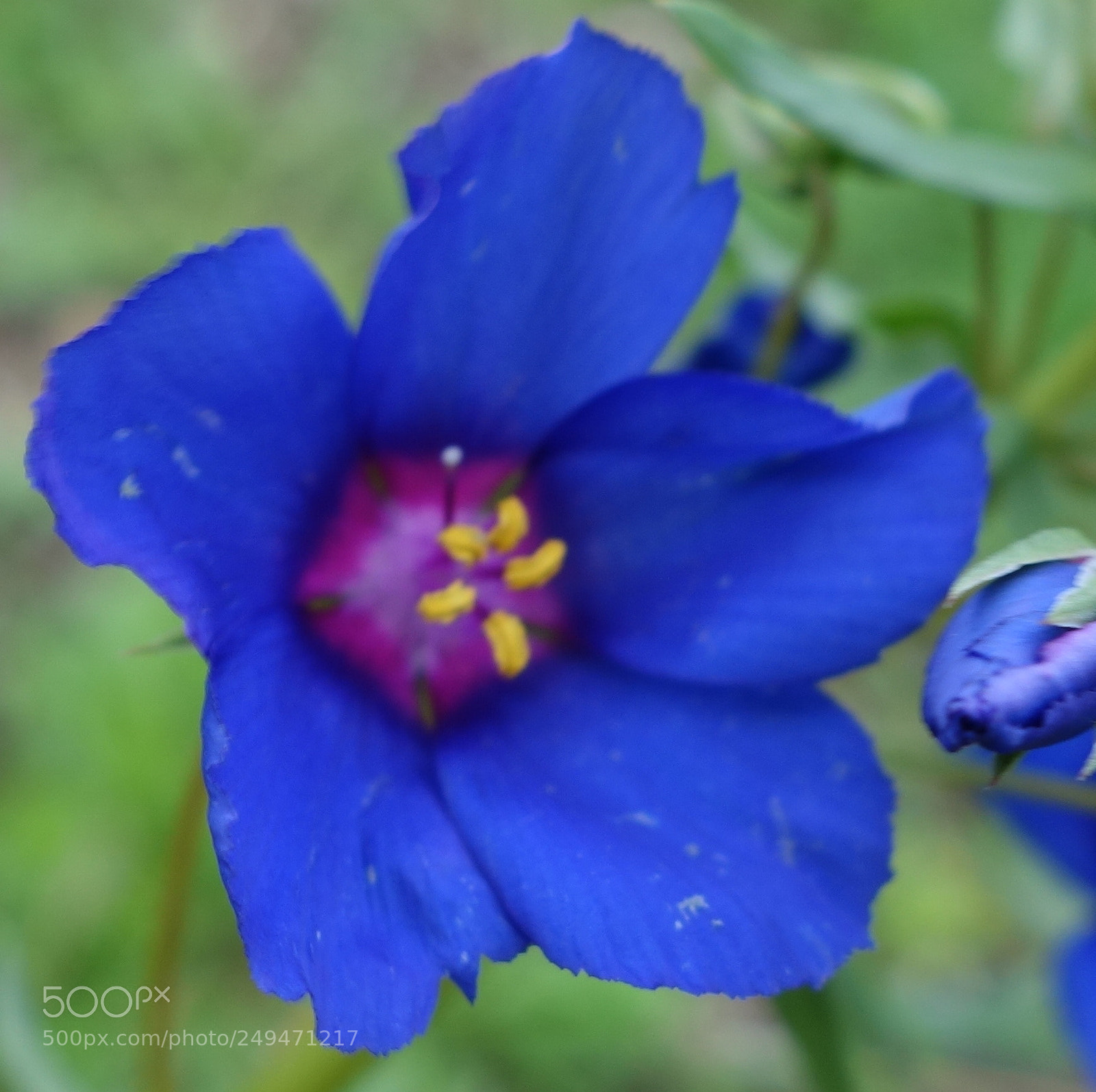 Sony Cyber-shot DSC-RX100 II sample photo. () cvp lot photography