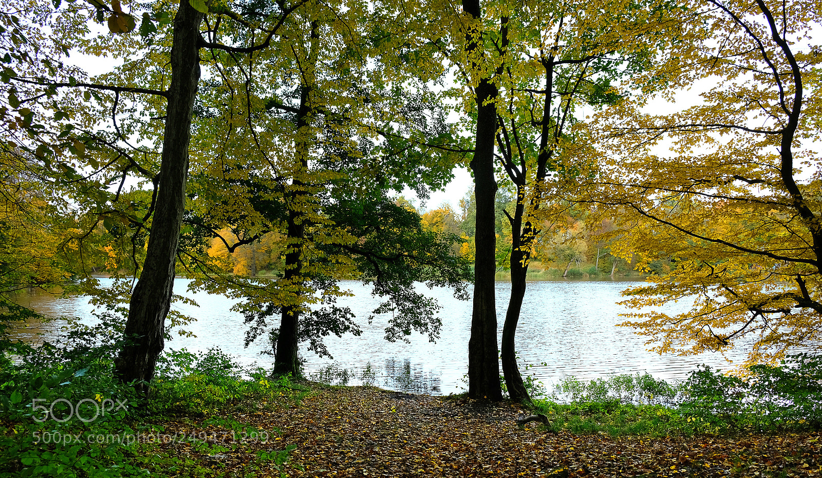 Fujifilm X-T20 sample photo. Forest lake photography