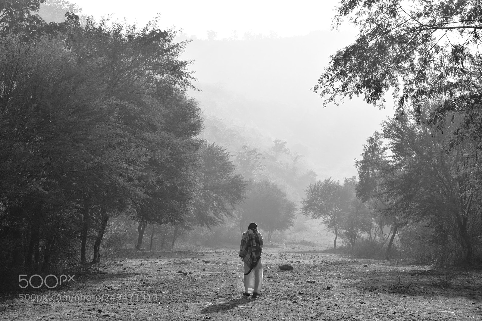 Nikon D3300 sample photo. Untitled photography