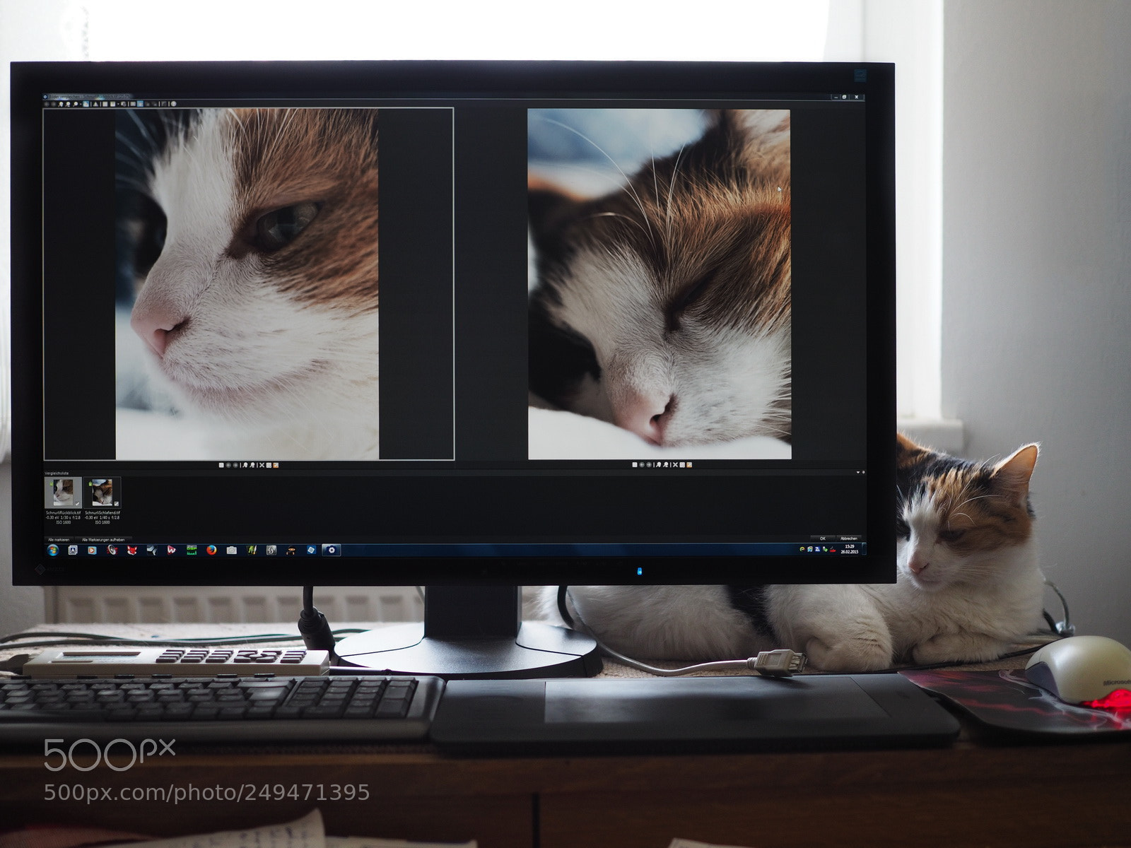 Olympus OM-D E-M10 sample photo. The model photography
