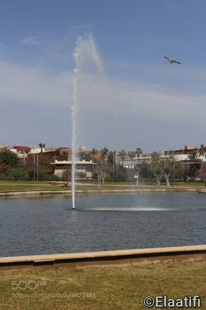 Canon EOS 100D (EOS Rebel SL1 / EOS Kiss X7) sample photo. Parque forestal de melilla photography