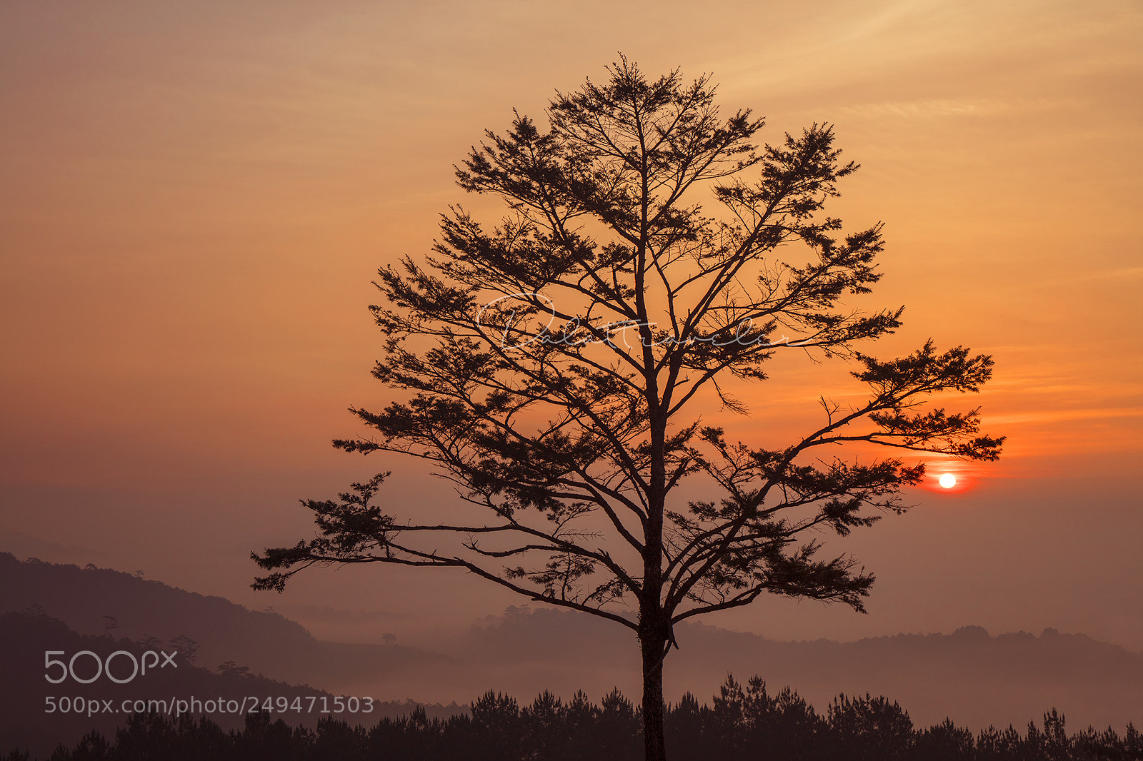 Canon EOS 5DS R sample photo. Alone photography